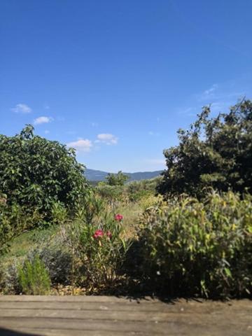 Villa Spacieuse Avec Terrasse Et Vue Mont Ventoux Entrechaux 外观 照片