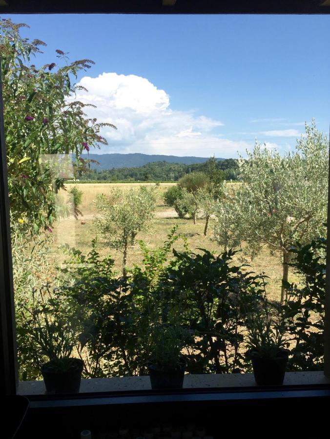 Villa Spacieuse Avec Terrasse Et Vue Mont Ventoux Entrechaux 外观 照片